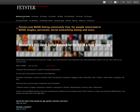 Fetster Logo